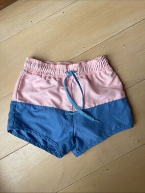 Minnow Pink Blue Colorblock Swim Shorts